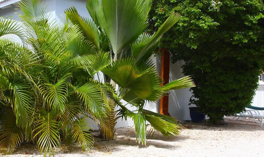 Villa Breeze Curacao Willemstad